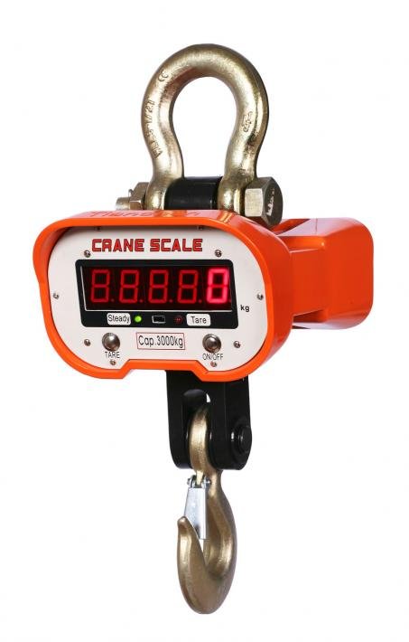 Crane Electronic Scale